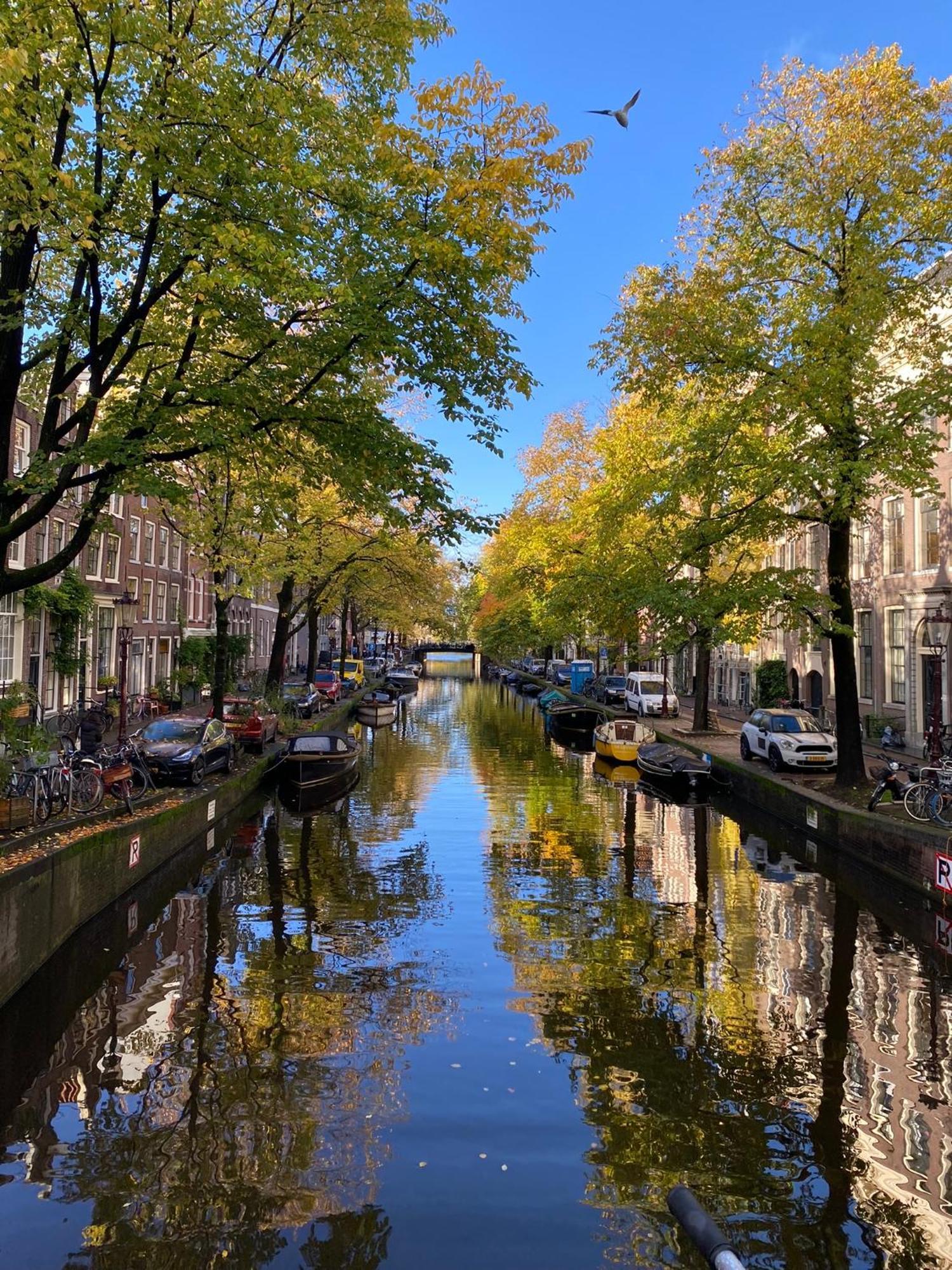 Hotel Chez Sybi Amsterdam Zewnętrze zdjęcie
